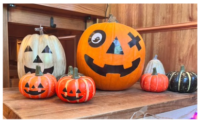 英会話教室wokwokのハロウィンのカボチャ飾り